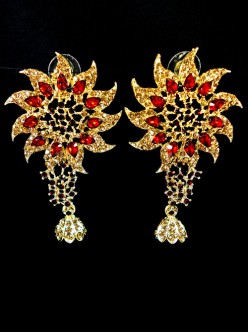 Fashion Earrings